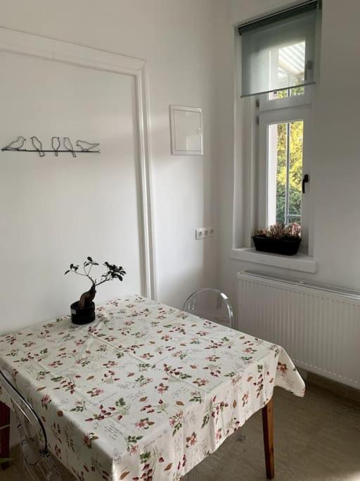 Parokia Apartman Es Coworking A Balaton Mellett Kaptalantoti Exterior photo